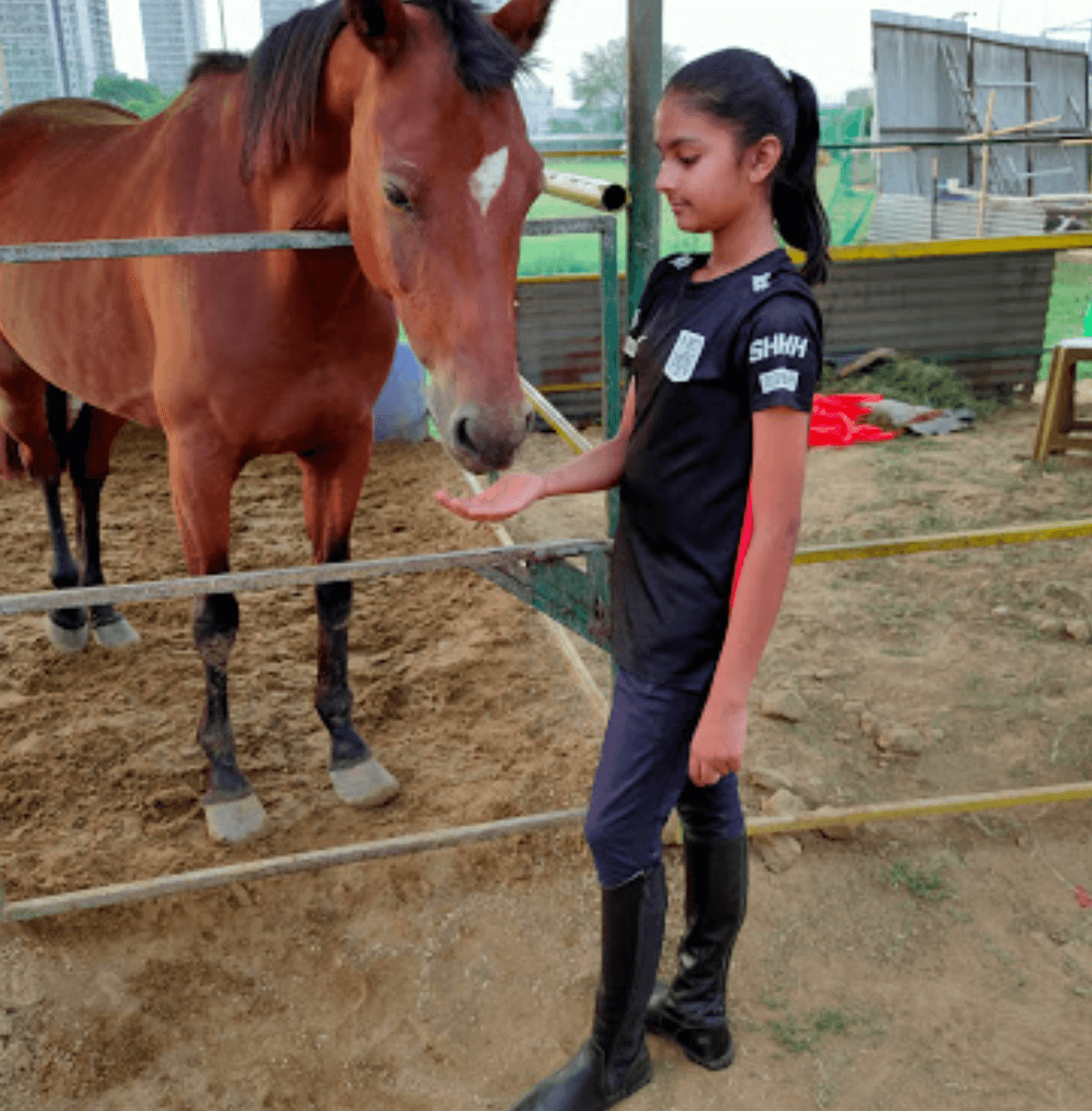 Royal Riders Equestrian Academy 