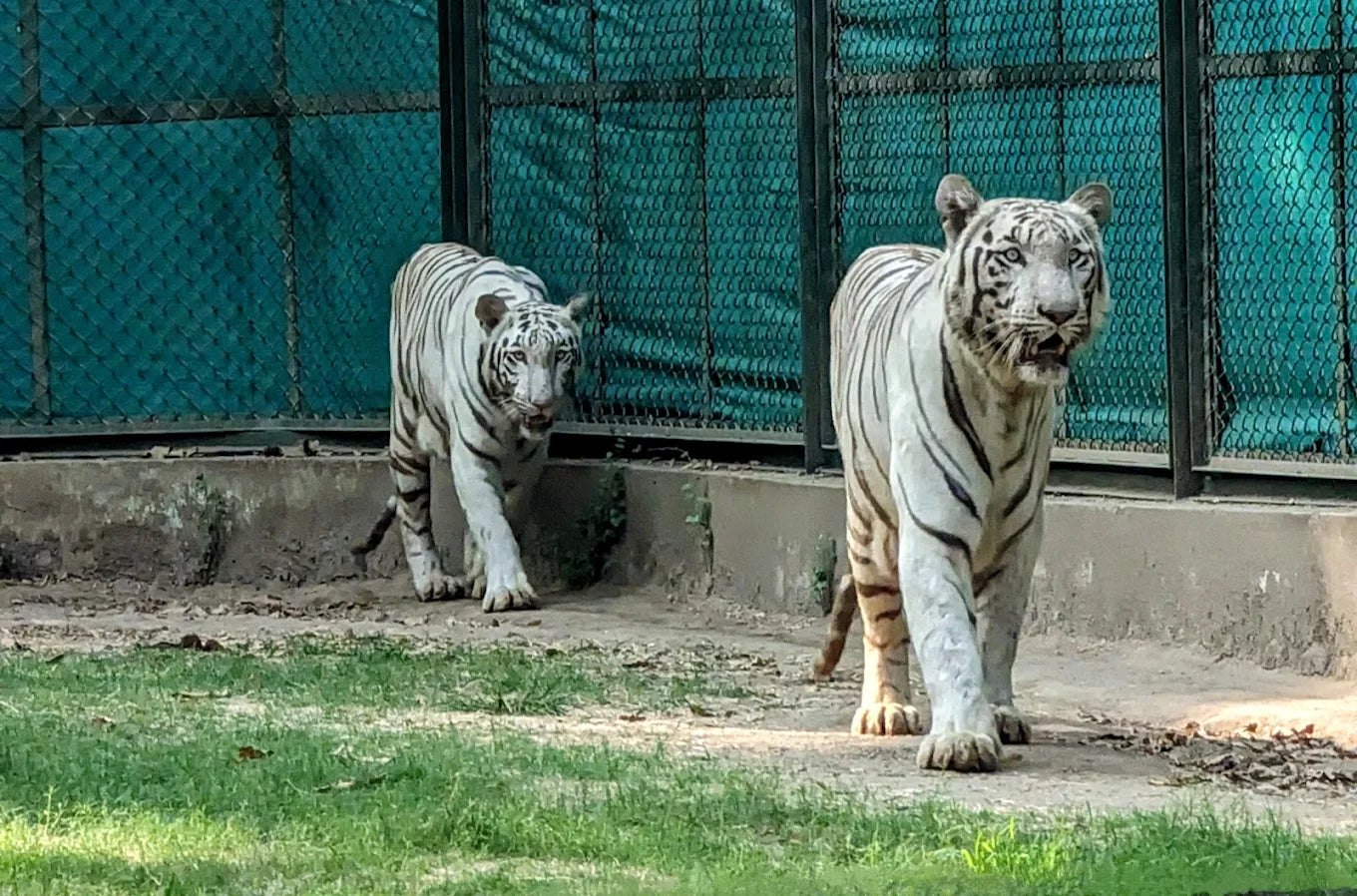 Sarthana Nature Park Sarthana Jakat Naka Surat