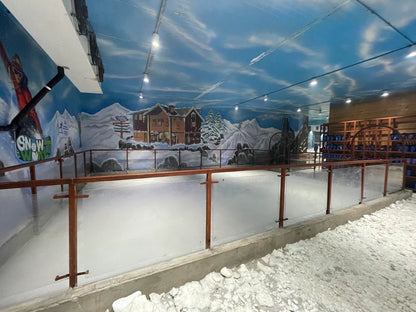 Snow World | Nexus Ahmedabad One Mall Vastrapur Ahmedabad