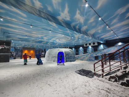 Snow World | Nexus Ahmedabad One Mall Vastrapur Ahmedabad