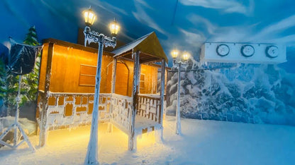 Snow World | Nexus Ahmedabad One Mall Vastrapur Ahmedabad