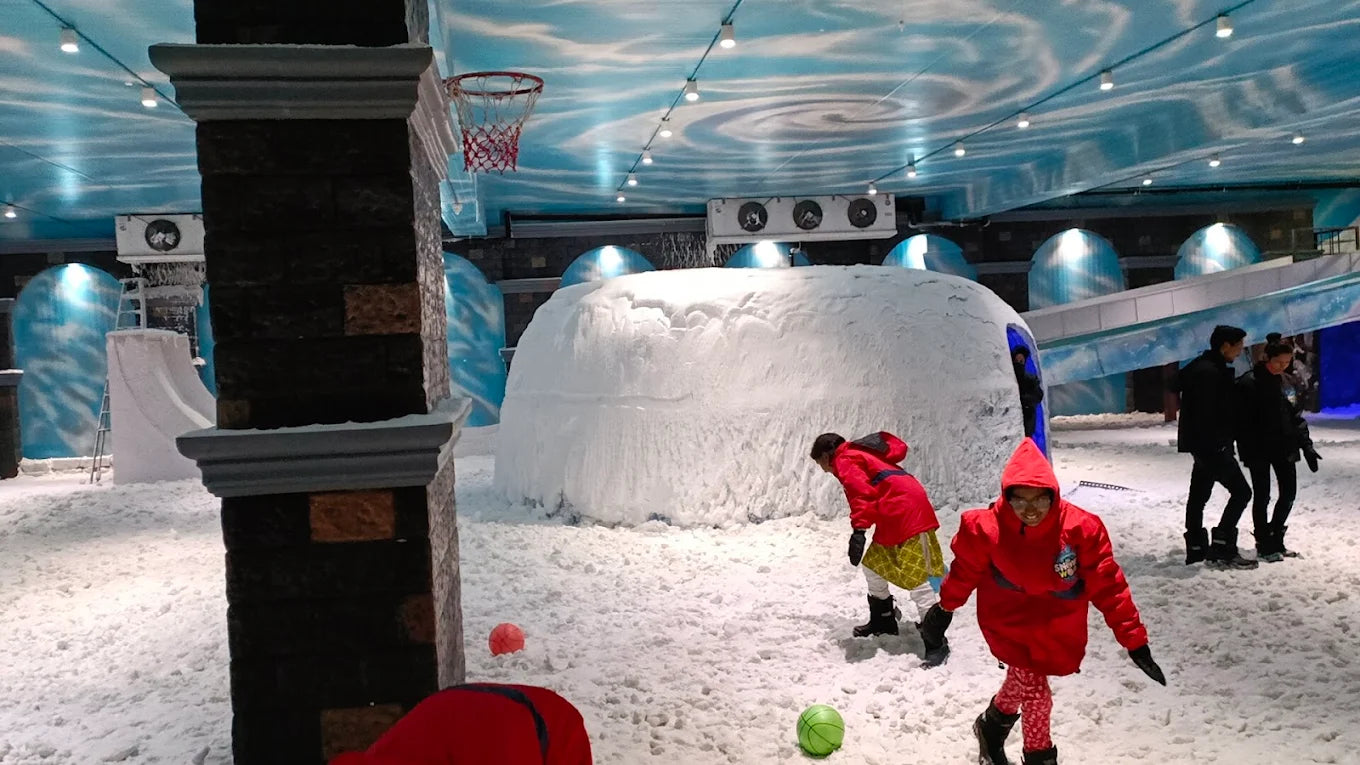 Snow World | Nexus Ahmedabad One Mall Vastrapur Ahmedabad