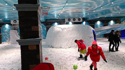 Snow World | Nexus Ahmedabad One Mall Vastrapur Ahmedabad