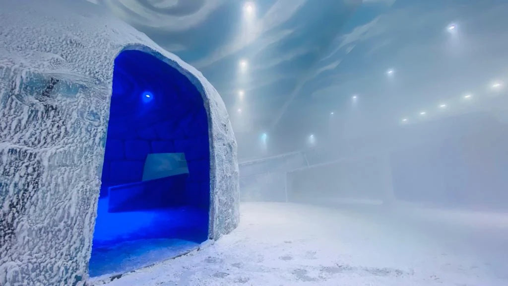 Snow World | Nexus Ahmedabad One Mall Vastrapur Ahmedabad