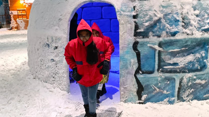 Snow World | Nexus Ahmedabad One Mall Vastrapur Ahmedabad