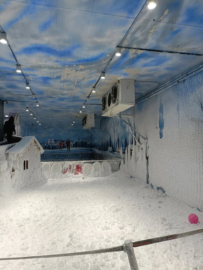 Snow World | The Mills Sangamvadi Pune