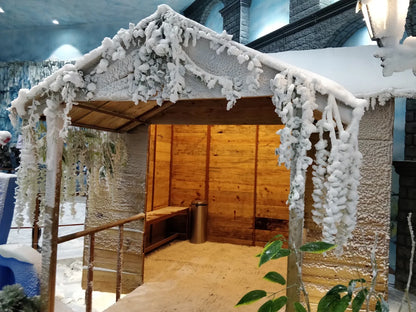 Snow World | Seawoods Grand Central Mall Navi Mumbai
