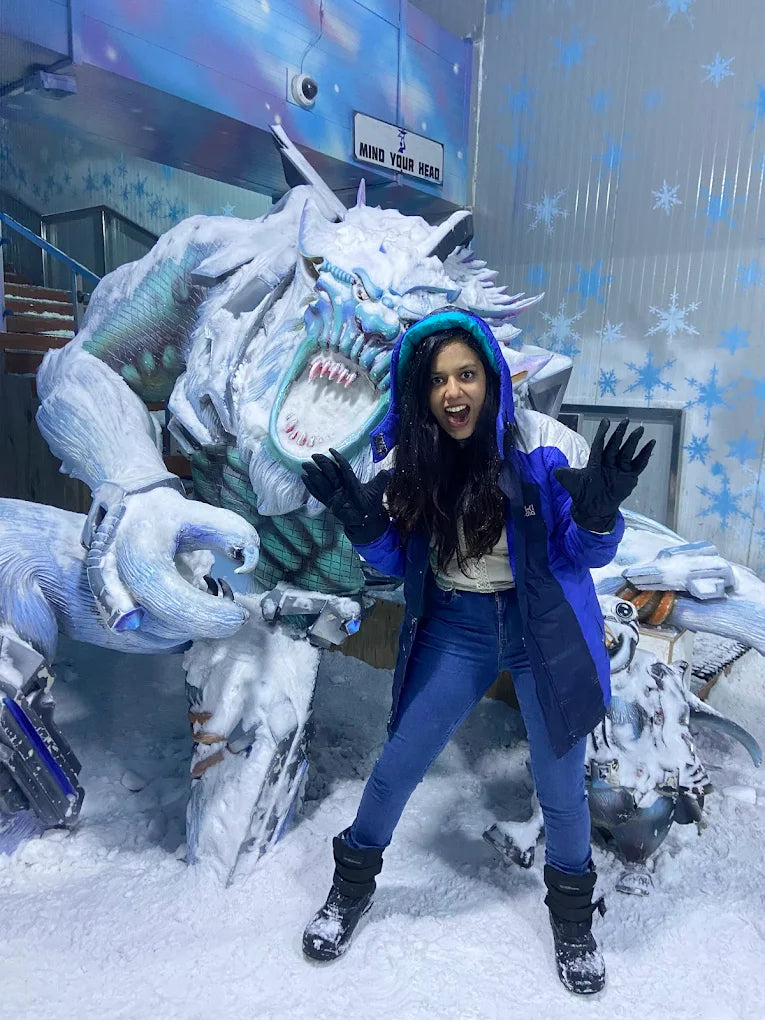 Snow World | Bhutani City Centre Sector 32 Noida