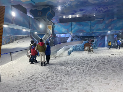 Snow World | Bhutani City Centre Sector 32 Noida