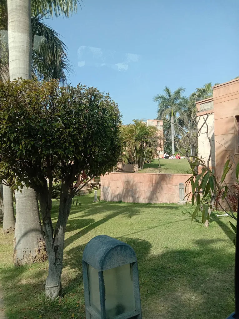 SowGood Learning Farm | Ghitorni Delhi