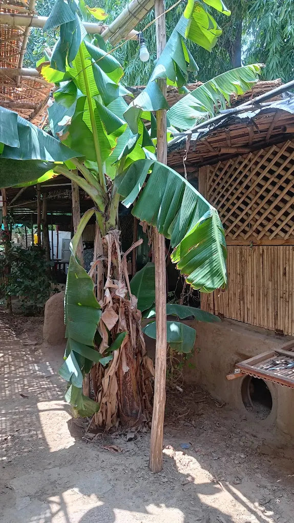 SowGood Learning Farm | Ghitorni Delhi