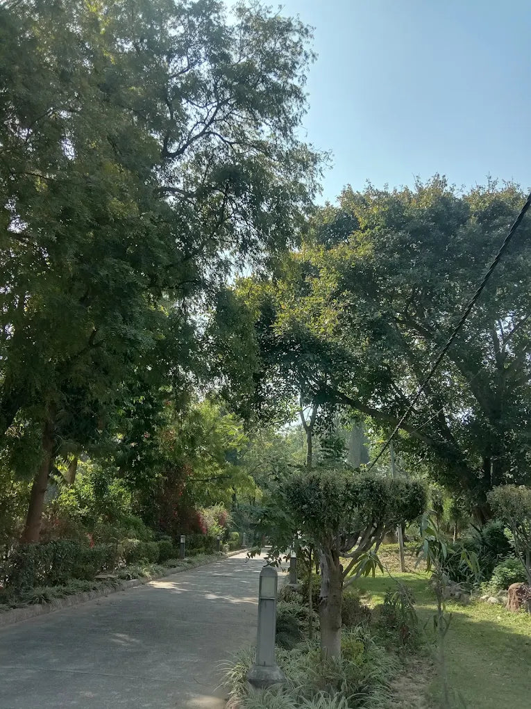 SowGood Learning Farm | Ghitorni Delhi