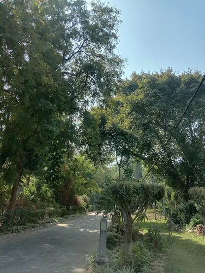 SowGood Learning Farm | Ghitorni Delhi