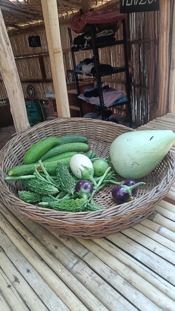 SowGood Learning Farm | Ghitorni Delhi