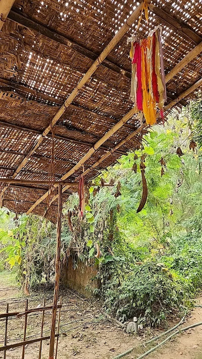 SowGood Learning Farm | Ghitorni Delhi