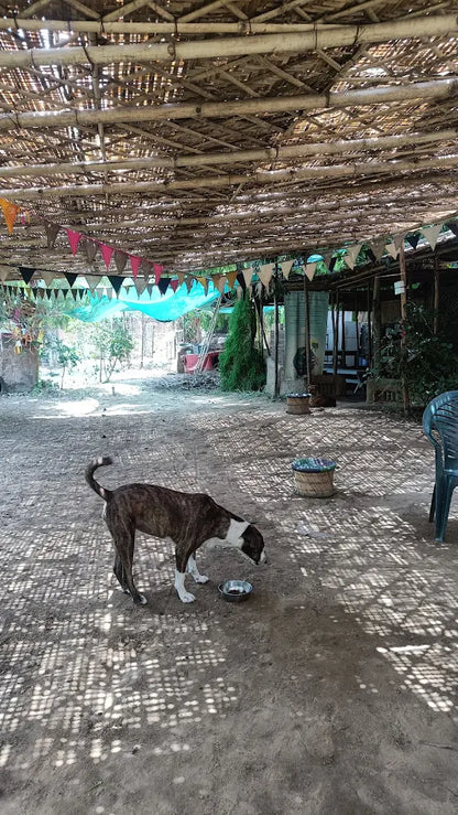 SowGood Learning Farm | Ghitorni Delhi