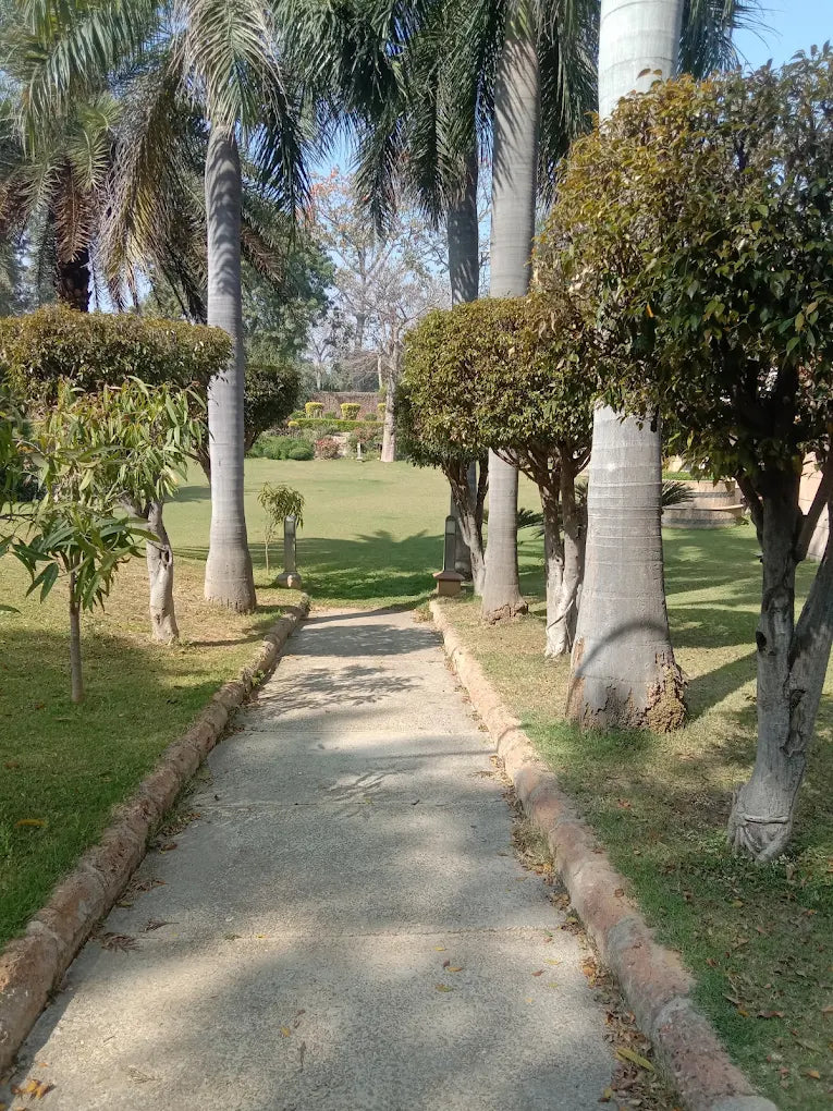 SowGood Learning Farm | Ghitorni Delhi