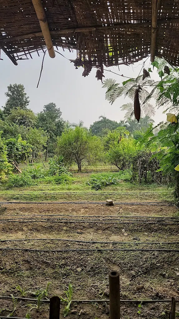 SowGood Learning Farm | Ghitorni Delhi