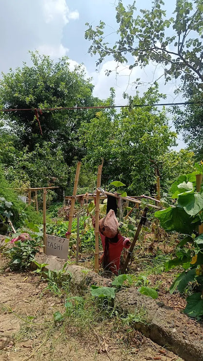 SowGood Learning Farm | Ghitorni Delhi