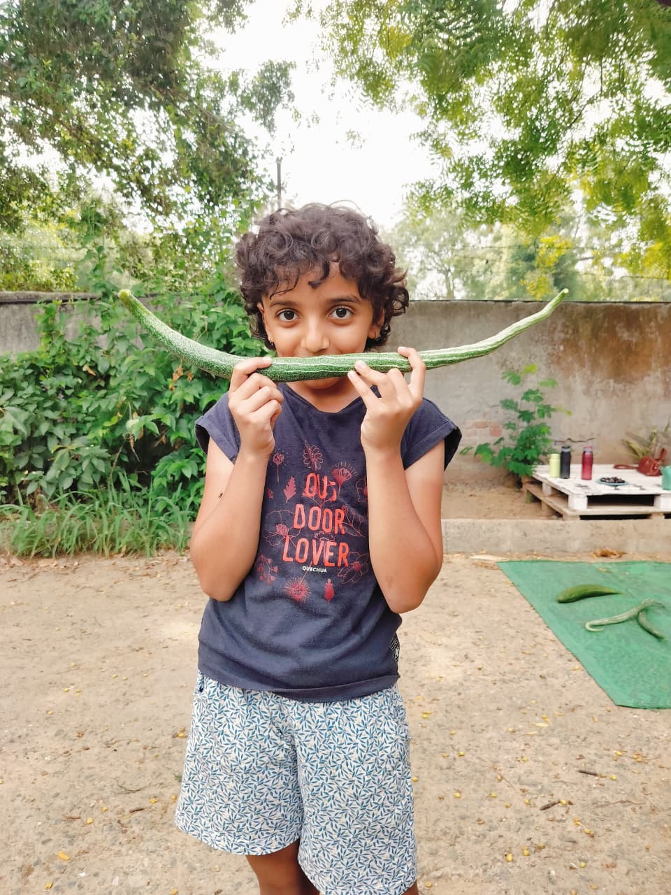 SowGood Learning Farm | Ghitorni Delhi