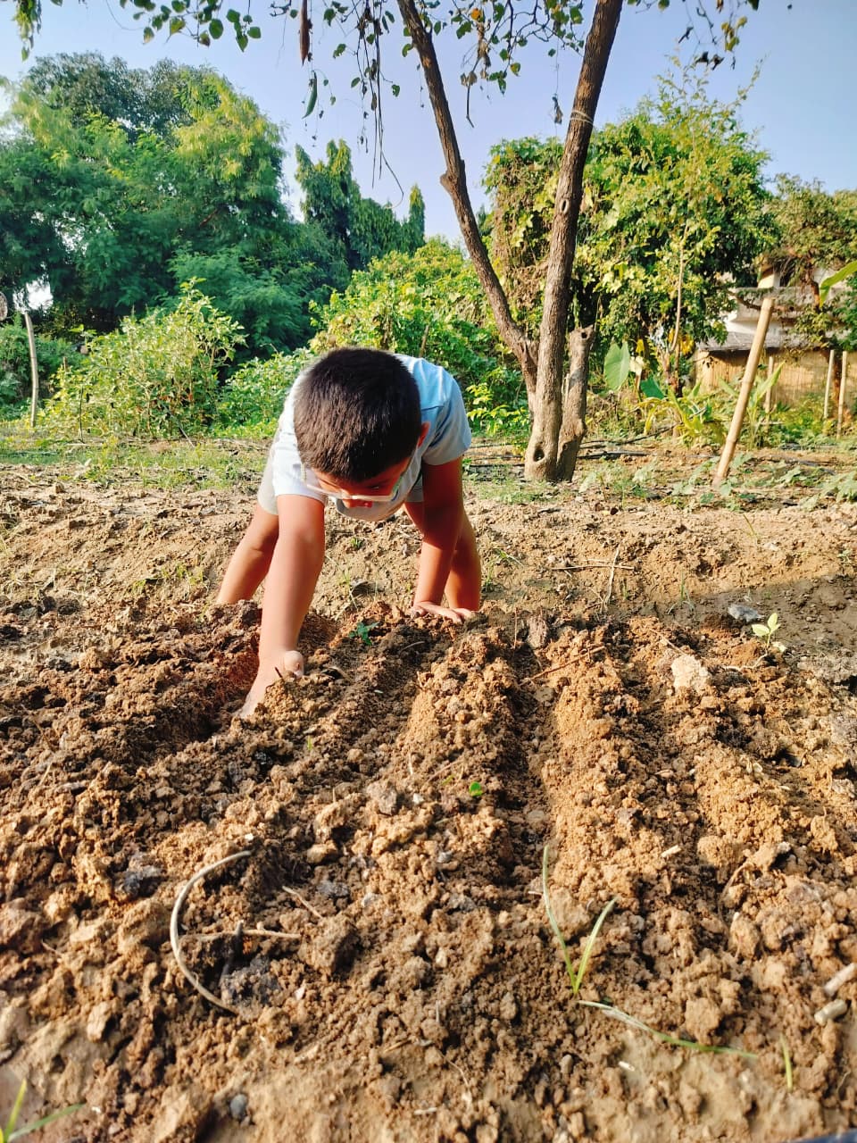 SowGood Learning Farm | Ghitorni Delhi