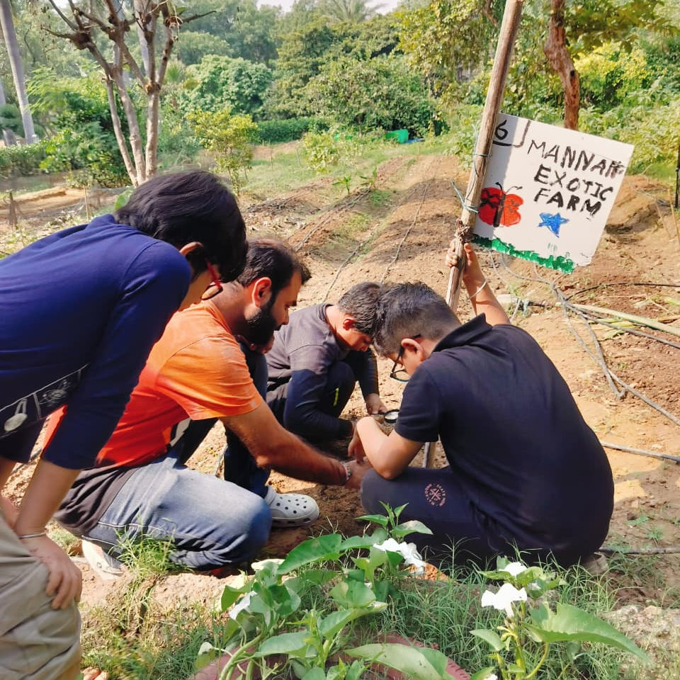 People working together in a garden with a sign in the background