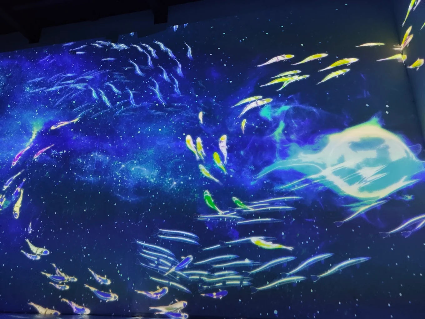 Spectra Museum Immersive Experience | Hebatpur Thaltej Ahmedabad