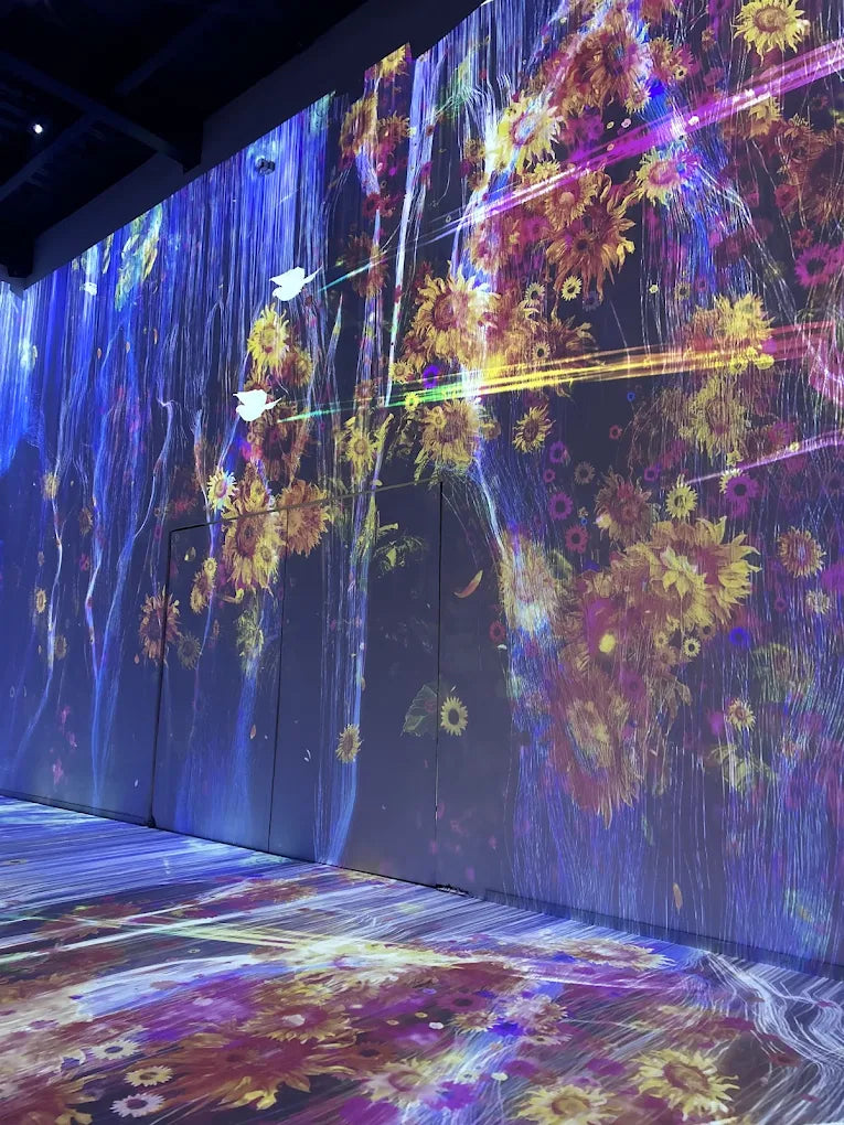 Spectra Museum Immersive Experience | Hebatpur Thaltej Ahmedabad