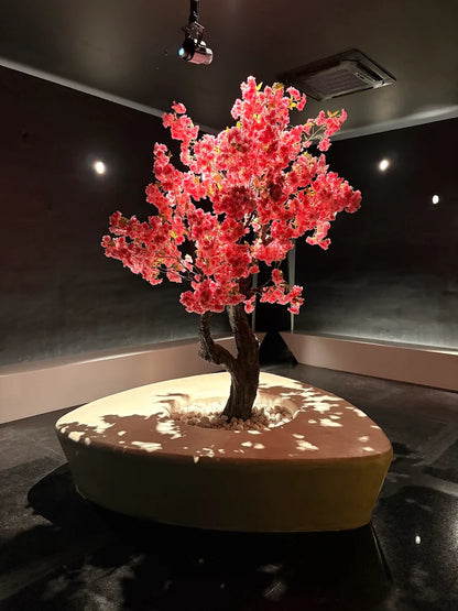 Spectra Museum Immersive Experience | Hebatpur Thaltej Ahmedabad