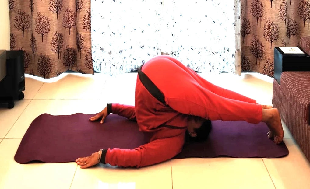 Sri Divya Dhyan Yoga Kendra | Sector 102 Gurgaon