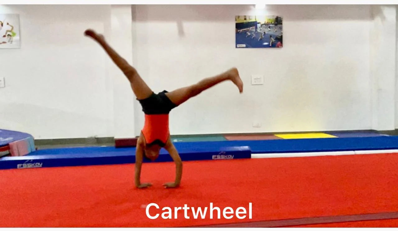 Star Gymnastic Academy Near M3M Urbana Mall Gurgaon