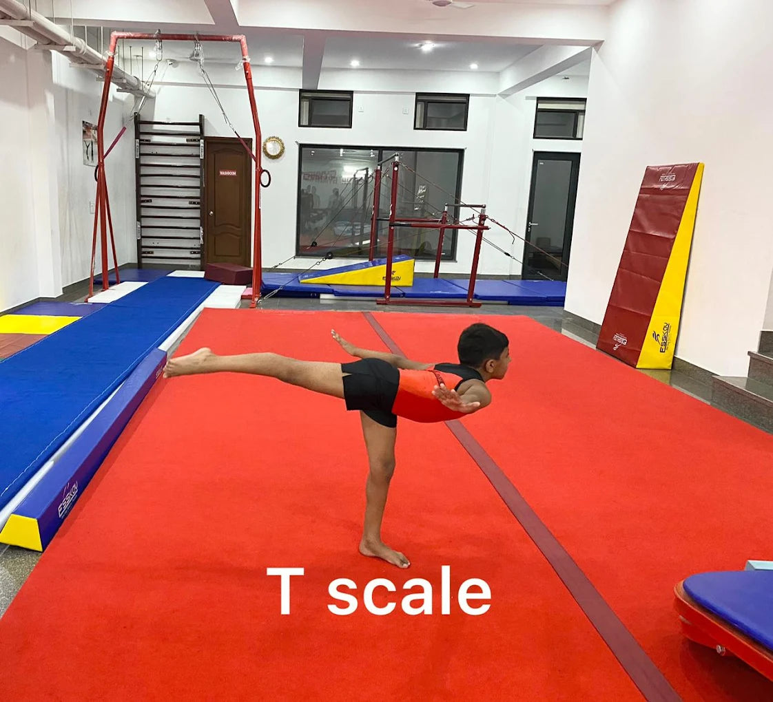 Star Gymnastic Academy Near M3M Urbana Mall Gurgaon