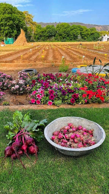 Disconnect to Reconnect At The Farm Collective (29-Mar) | Ghamroj Haryana - ActivityKidz