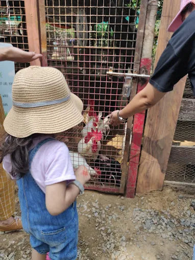 The Barnyard Animal Petting Farm | South Avenue Sainik Farm New Delhi