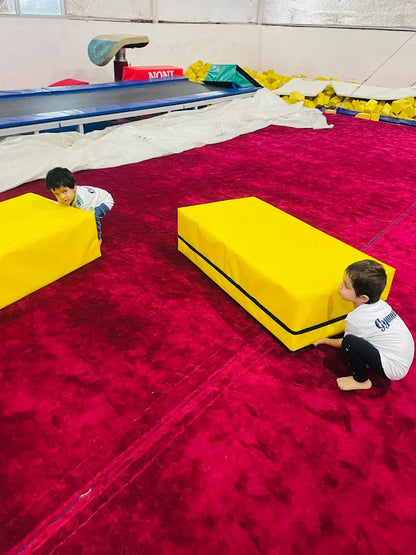 The Gymnastic Academy | Sector 87 Gurgaon