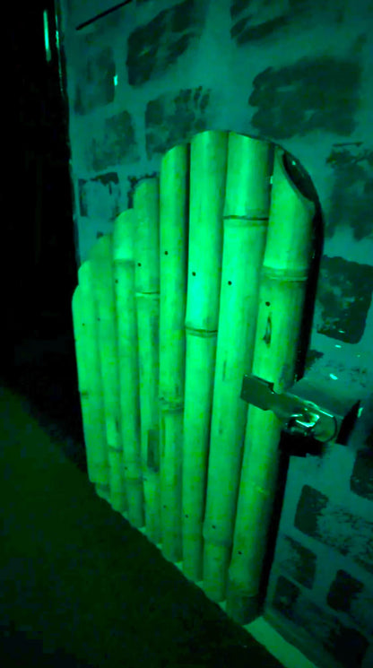 The Hidden Hour Escape Room | Hauz Khas Delhi