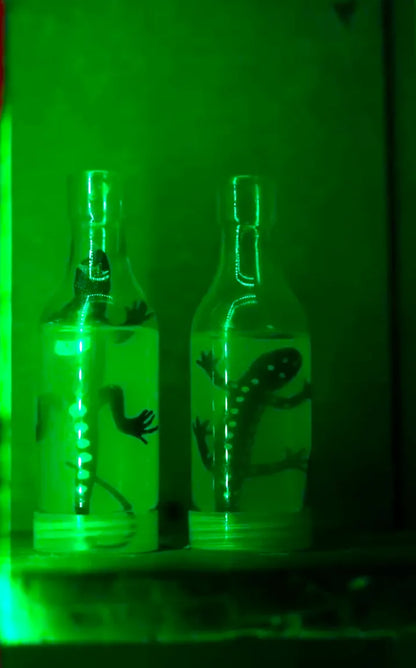 The Hidden Hour Escape Room | MGF Metropolis Sector 28 Gurgaon