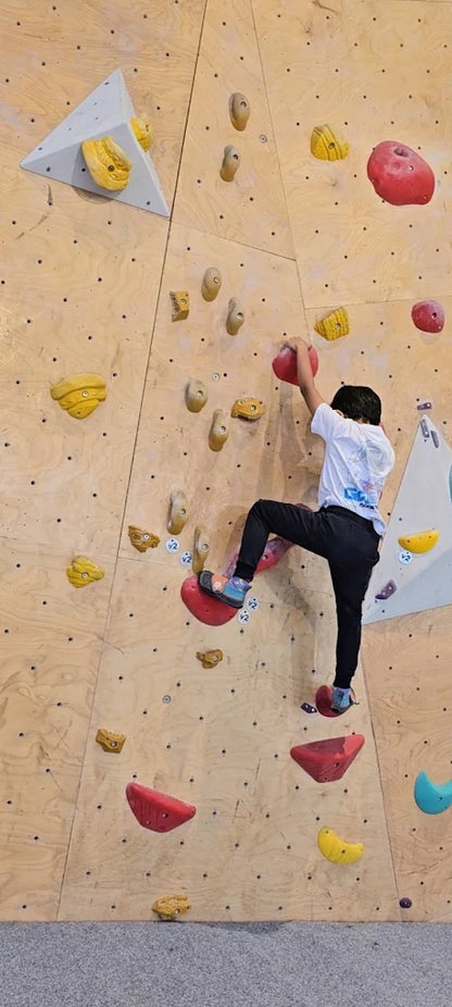 The Indian Bouldering Company Indoor Rock Climbing | Fort Mumbai