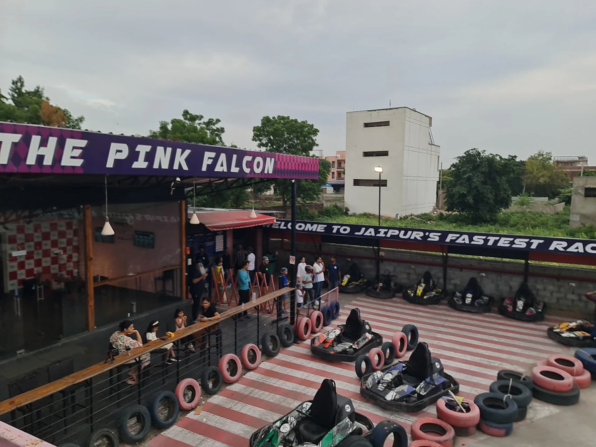 Go-karts are lined up at a racing track with people watching. A sign reads "The Pink Falcon."