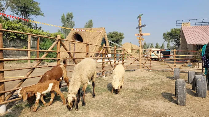 Tuk Tuk Gilhari Animal Petting Farm | Green Beauty Farms Noida