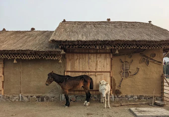 Tuk Tuk Gilhari Animal Petting Farm | Green Beauty Farms Noida