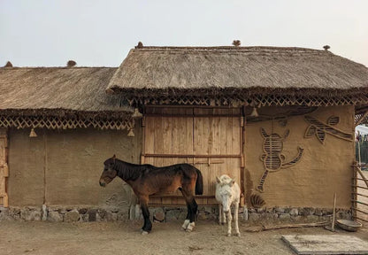 Tuk Tuk Gilhari Animal Petting Farm | Green Beauty Farms Noida