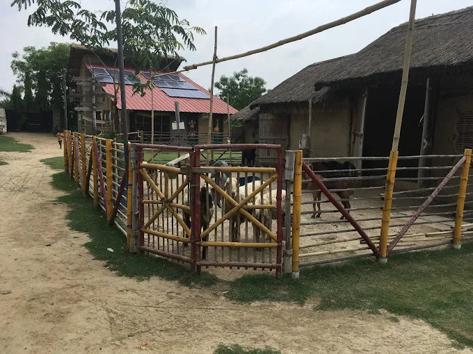 Tuk Tuk Gilhari Animal Petting Farm | Green Beauty Farms Noida