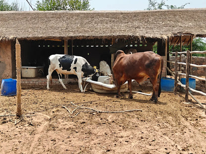Tuk Tuk Gilhari Animal Petting Farm | Kadarpur Gurgaon