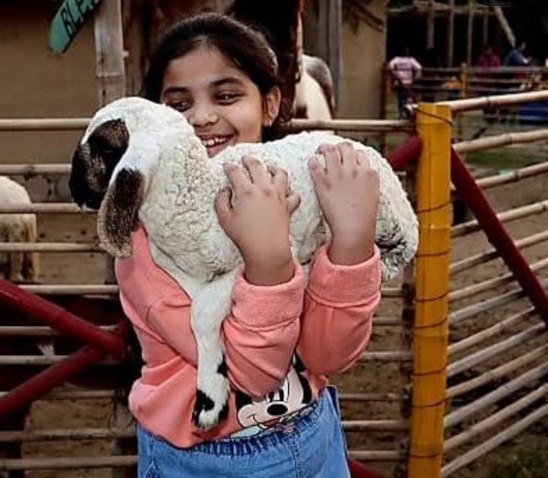 Republic Day at Tuk Tuk Gilhari Petting Farm (26-Jan) | Kadarpur Gurgaon