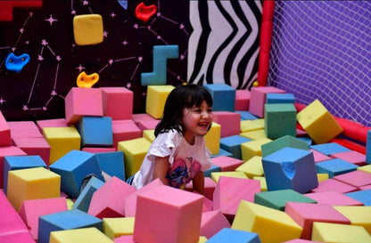 The Wigglyy Woo Indoor Play Area | Sector 2 Palam Vihar Gurgaon