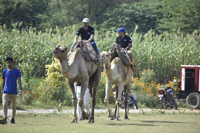 WildHawk Adventures Faridabad