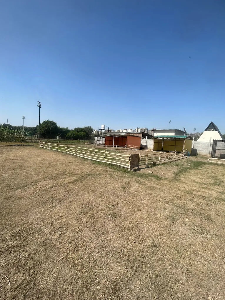 WildOoks Animal Petting Farm | Sector 134 Noida