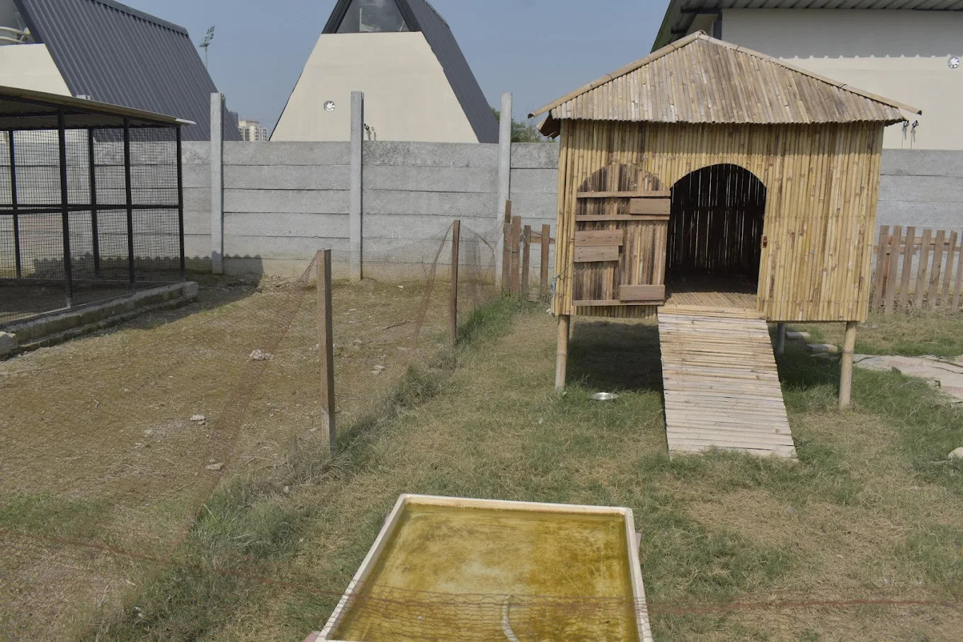 WildOoks Animal Petting Farm | Sector 134 Noida