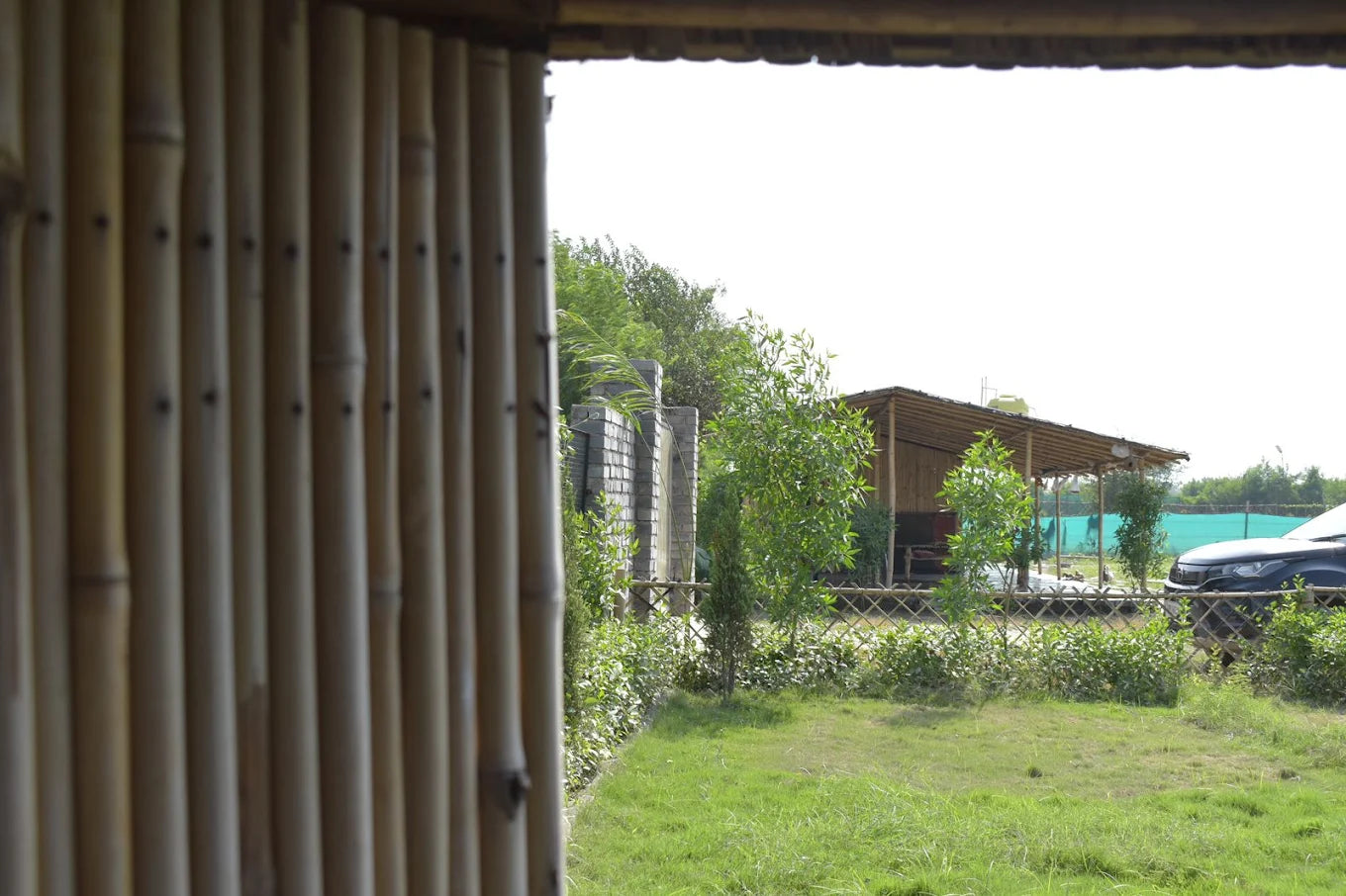 WildOoks Animal Petting Farm | Sector 134 Noida